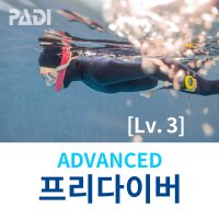 PADI 프리다이빙 라이센스 어드밴스 프리다이버 [Lv.3]