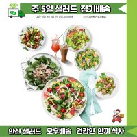 2주 식단 샐러드 무료배송 [ 안산샐러드 배달 정기배송 ]