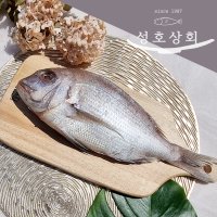 남해안 자연산 참돔 1마리 도미 손질생선 반건조 제사상생선