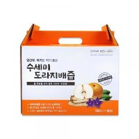 진주농원 배도라지 효능 어린이 잔기침 면역력 기침에 좋은 수세미즙 120ml 50포