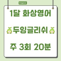 화상,전화 영어 주 3회 20분 1달 이용권