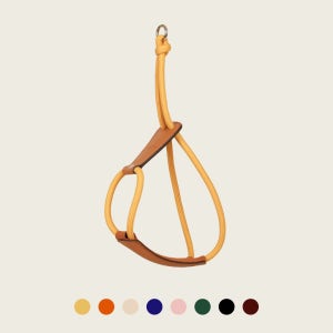 호지 에센셜 하네스 소형견 중형견 대형견 가슴줄 하네스 XS 강아지 반려동물 산책 몸줄