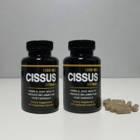 시서스 알약 시저스 효능 씨서스 Cissus 가루 1000mg 1+1 3개월분