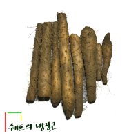 5kg 국산마 파지마 생마 알뜰마 마차 마우유 마요쿠르트