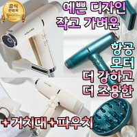 항공모터 가벼운 미용실 전문가용 초강력 강풍 냉풍 가성비 차이슨 헤어드라이기 추천 거치대