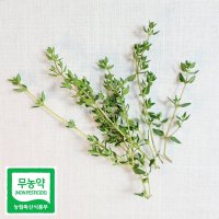 데코용커먼타임 타임허브 생잎 커먼타임 30g,50g