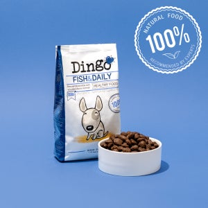 딩고 피쉬 500g 강아지사료샘플 저알러지 저지방 눈물 관절 하이포알러제닉