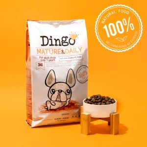 딩고 머튜얼 3kg 강아지 노견 시니어사료 관절 장건강 알러지 췌장염사료