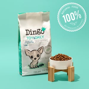 딩고 토이 1.5kg 소형견 눈물사료 알러지 피부 관절 푸들 말티즈 비숑사료