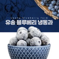 [생산자직접판매] 블루베리 냉동과 1kg