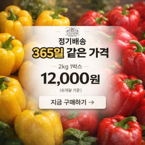 [정기배송] 365일 같은가격 산지직송 파프리카 2kg 5kg (물가 걱정 없는 가격)
