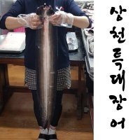 대물 민물장어 상천장어 특대사이즈 순살 1kg 선물용 민물장어 국내산