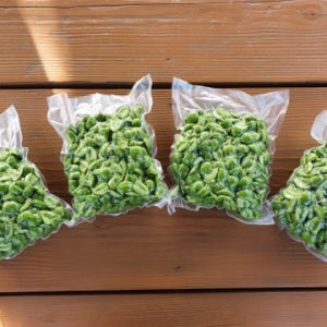 깐매실 씨제거 조각매실 매실장아찌용 3kg 매실 10kg