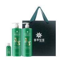 블루밍셀 약산성 비듬 지성 가려움 두피 각질 샴푸세트 500ml+500ml