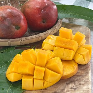 제주 프리미엄 애플망고 3 kg 선물 알찬 고당도