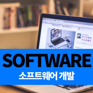 SOFTWARE 소프트웨어 개발