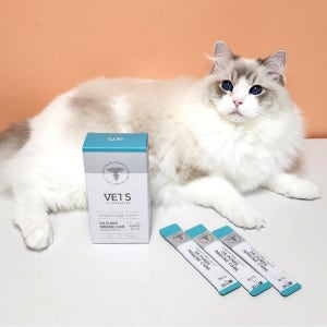 이뮨케어 한달분 고양이 구내염약 영양제 허피스 감기 기침 콧물 엘라이신