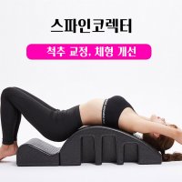 집에서 하는 스파인코렉터 홈 필라테스 기구 방문 트레이닝 허리통증 스트레칭 운동 소도구