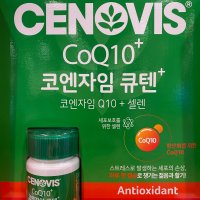 세노비스 코큐텐 플러스 600mg X 60캡슐 코스트코