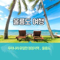 [포항출발] 울릉도 2박3일 패키지 여행 (매일출발 확정)