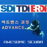 SDI어드밴스교육 에스디아이 어드밴스교육