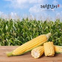 제철진미 당도빵빵 과즙팡팡 제주 햇 초당옥수수 특상품 20개 (15cm 이상)