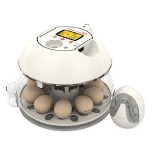 알콤 PRO 10 PLUS, 국산 자동 미니 메추리 오리 병아리 알 계란 부화기,닭 거위