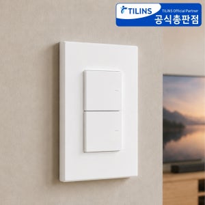 틸인스 TI1 전등 스위치 교체 빌트인 가구 전기 전등 벽 매립 스위치 커버 2구 화이트
