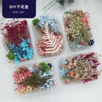 청첩장 꽃 말린부케액자 직접 만든 재료 만개 별꽃 액자 diy 꽃받침 입문 세공화