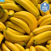 국산 유기농 바나나 1.5kg 2.5kg 내외 (수요일만 출고)