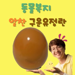 동물복지 구운계란 60구 구운유정란 동물복지구운란 무항생제계란 알찬유정란 구운달걀 농장직송