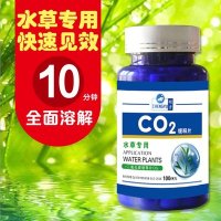 봄베 자작이탄 화학 co2레귤레이터 고압 이탄 풀항아리 co2 세트 diy co2병