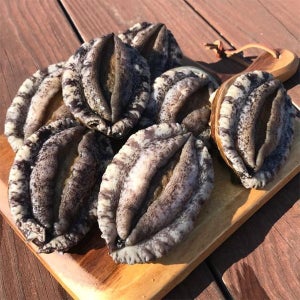 청해포구 완도 활전복2kg(20~24미내외)