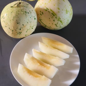 고당도 보장 함안 멜론 가야 백자 메론 4kg (2~4수)