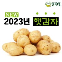 [풍원몰]23년 수확 포슬포슬 햇감자 5KG/10KG (중/대/특/왕특 사이즈)