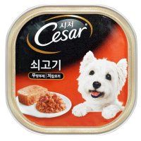 시저캔 쇠고기맛 1BOX 24개1박스