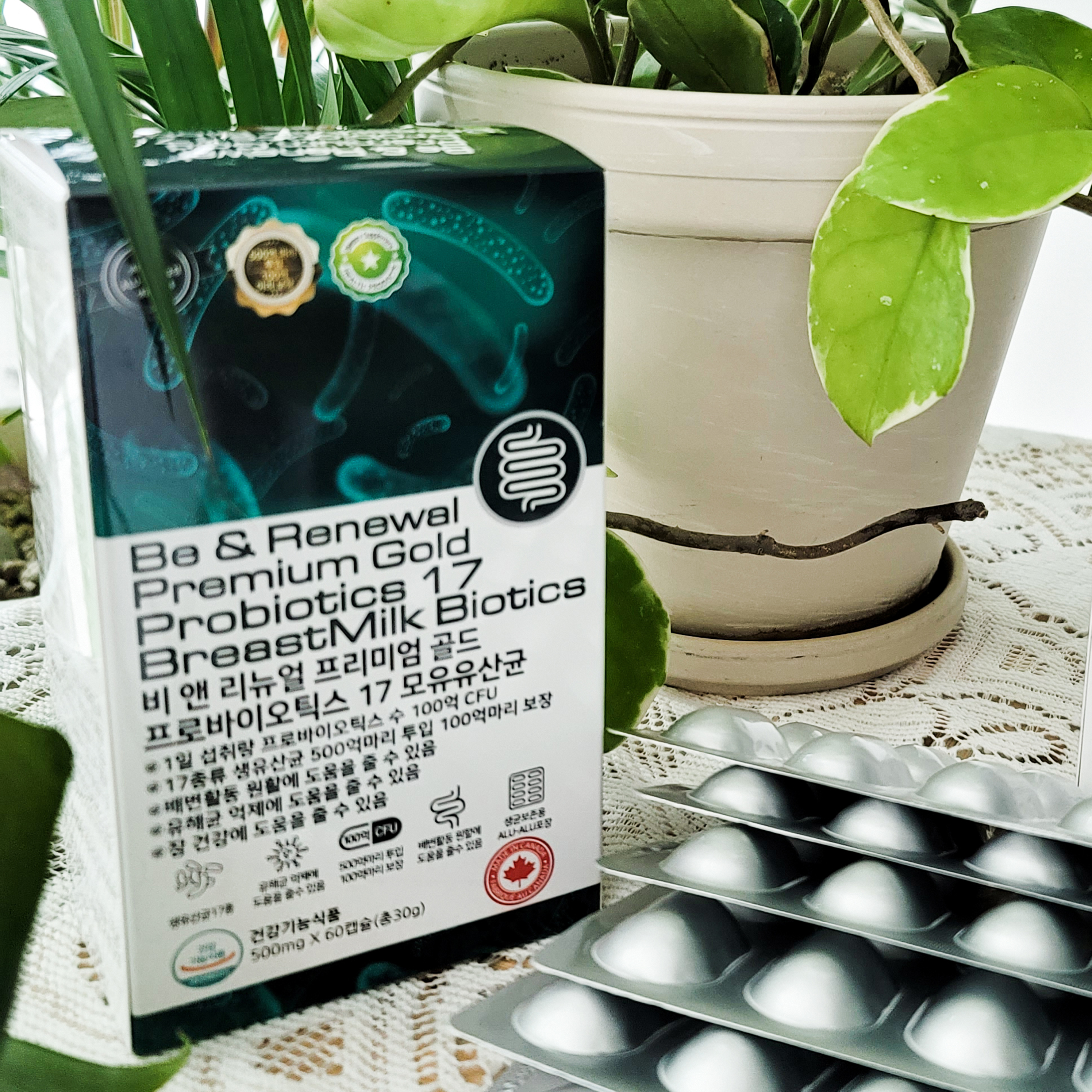 프리미엄 프로바이오틱스 5000 골드