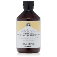 DAVINES 다비네스 퓨리파잉 비듬샴푸 250ml Natural Tech