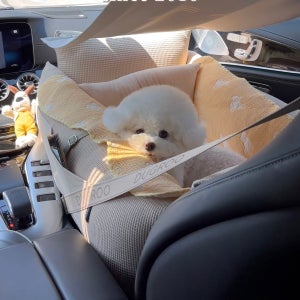 두그루 강아지카시트 차량용 애견 차시트 [올라운드L 드라이빙킷-베이지 엠보스] 그늘막포함