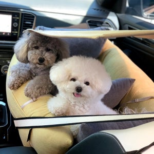 두그루 강아지카시트 차량용 애견 차시트 [올라운드L 드라이빙킷- G망고] 그늘막포함