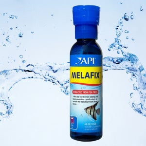 API 멜라픽스 118ml 열대어 구피 수질개선