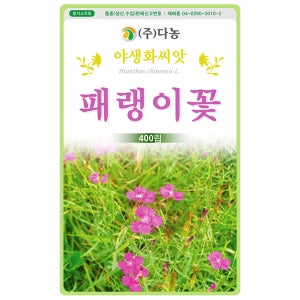 [가든팜] 야생화씨앗 패랭이꽃씨앗 400립