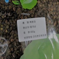 말린 건조 복분자 (중국산) 600 g 산딸기