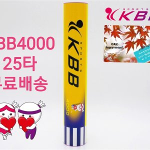 kbb4000 최저가 가성비상품