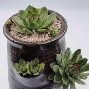 우암 국산 수제화분 긴 옹기 다유기가치 중사이즈 다육화분