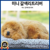 KC인증 리얼펫미니-갈색리트리버 항균 탈취 제습인형 차량용 활성탄