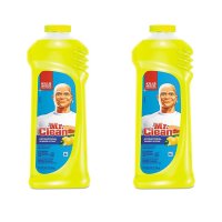 Mr. Clean Antibacterial Summer Citrus 미스터 클린 곰팡이 찌든때 다목적 클리너 썸머시트러스 709ml 2팩