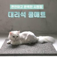 천연 강아지 대리석 쿨매트 여름 강아지침대 더위 고양이대리석방석 반려견