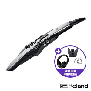 롤랜드 전자 색소폰 Aerophone Pro AE-30 에어로폰 프로 AE30 ROLAND