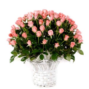분홍장미100송이바구니(OW-6205) [졸업식꽃다발/화이트데이/100일선물/성년의날선물/크리스마스/고백선물/